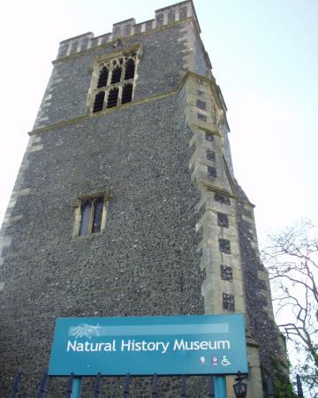 natural-history-museum